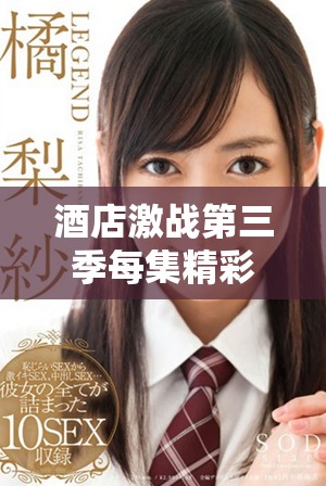 酒店激战第三季每集精彩回顾及完整播放指南全面揭秘