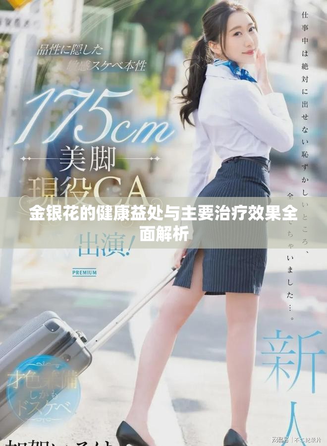 金银花的健康益处与主要治疗效果全面解析