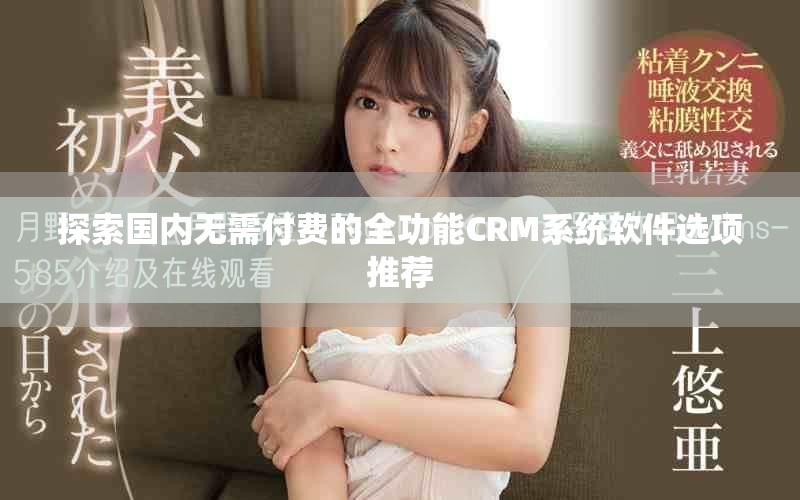 探索国内无需付费的全功能CRM系统软件选项推荐