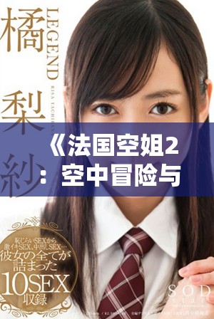 《法国空姐2：空中冒险与浪漫的冲突旅程》