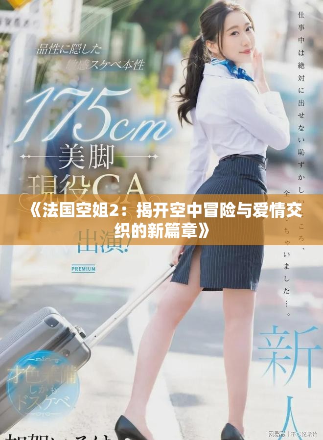 《法国空姐2：揭开空中冒险与爱情交织的新篇章》