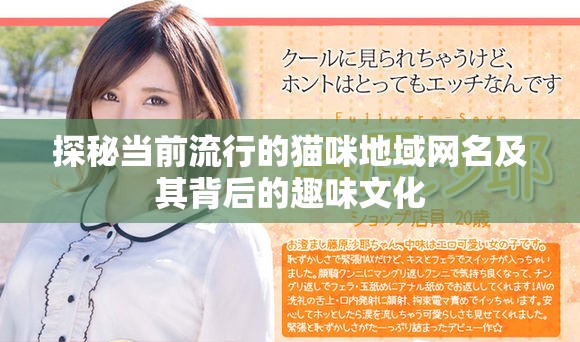 探秘当前流行的猫咪地域网名及其背后的趣味文化