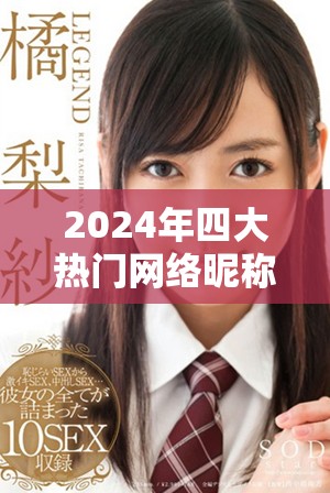 2024年四大热门网络昵称推荐和趋势分析
