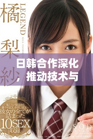 日韩合作深化，推动技术与文化的共同发展