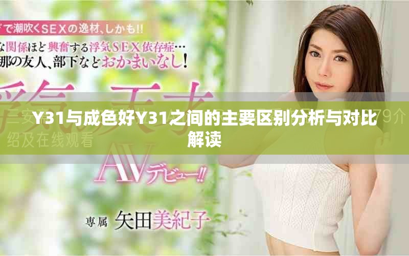 Y31与成色好Y31之间的主要区别分析与对比解读