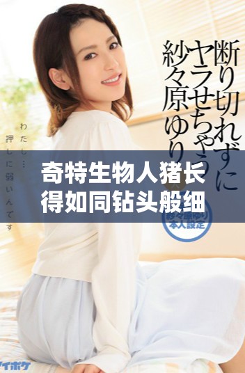 奇特生物人猪长得如同钻头般细长有趣观察