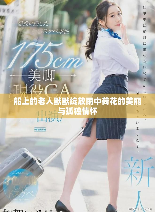 船上的老人默默绽放雨中荷花的美丽与孤独情怀
