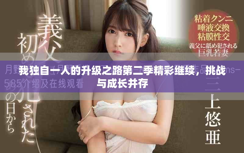 我独自一人的升级之路第二季精彩继续，挑战与成长并存