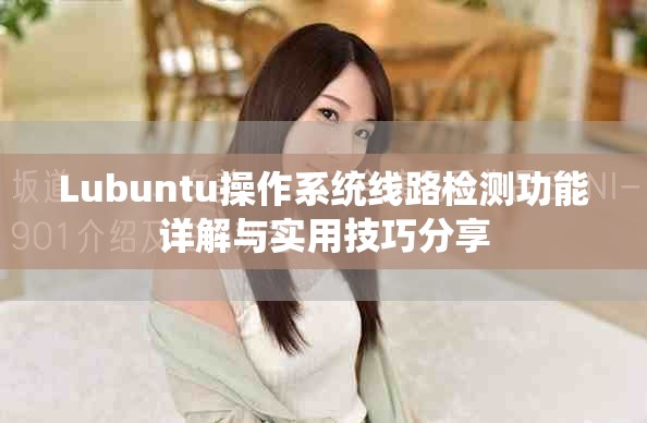 Lubuntu操作系统线路检测功能详解与实用技巧分享