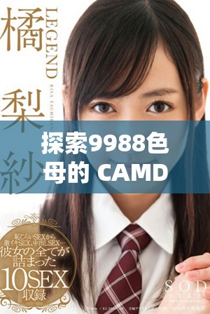 探索9988色母的 CAMDS 成分分析与应用研究