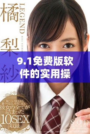 9.1免费版软件的实用操作指南与功能详解教程