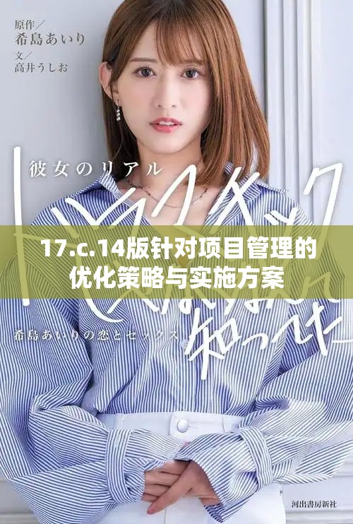 17.c.14版针对项目管理的优化策略与实施方案