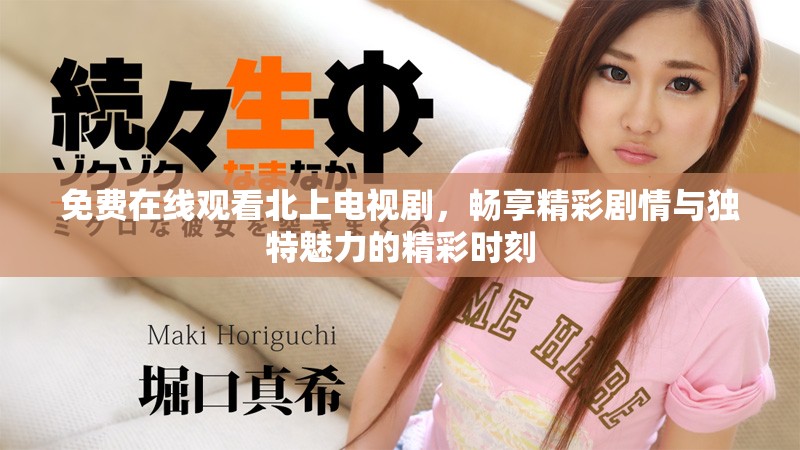 免费在线观看北上电视剧，畅享精彩剧情与独特魅力的精彩时刻