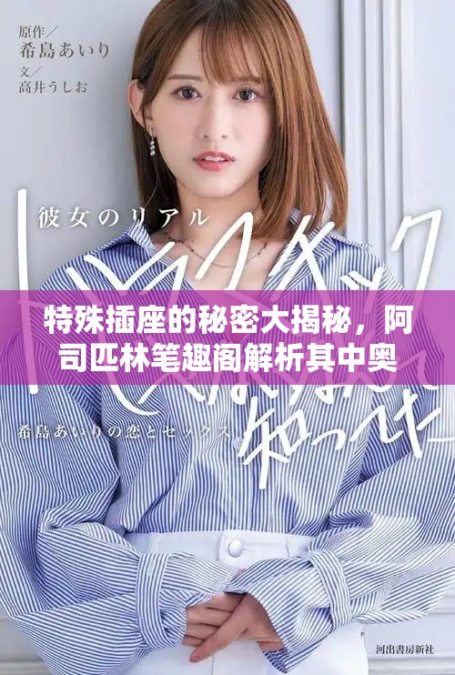 特殊插座的秘密大揭秘，阿司匹林笔趣阁解析其中奥妙