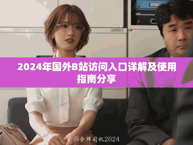 2024年国外B站访问入口详解及使用指南分享