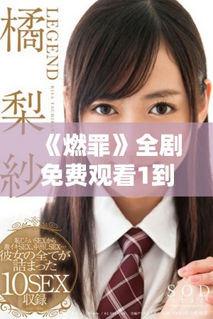 《燃罪》全剧免费观看1到40集，尽享精彩剧情与人物魅力