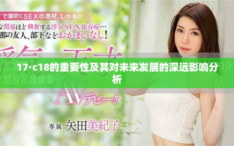 17·c18的重要性及其对未来发展的深远影响分析