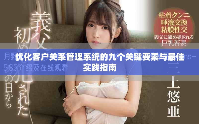 优化客户关系管理系统的九个关键要素与最佳实践指南