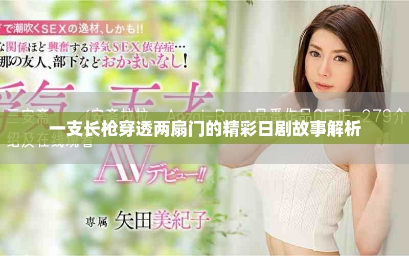 一支长枪穿透两扇门的精彩日剧故事解析