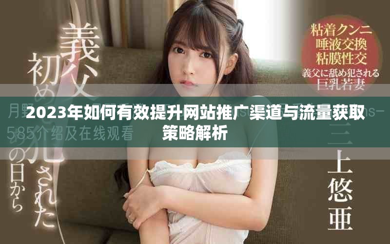 2023年如何有效提升网站推广渠道与流量获取策略解析