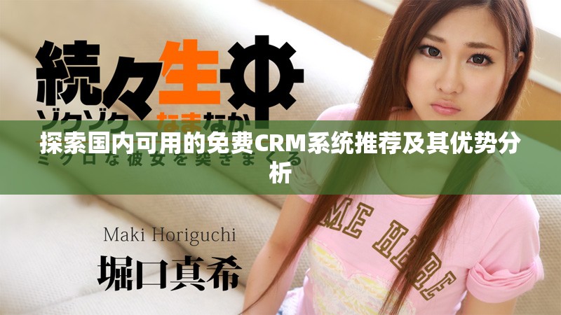 探索国内可用的免费CRM系统推荐及其优势分析