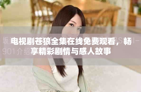 电视剧苍狼全集在线免费观看，畅享精彩剧情与感人故事