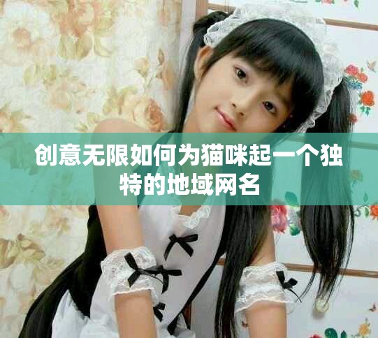 创意无限如何为猫咪起一个独特的地域网名