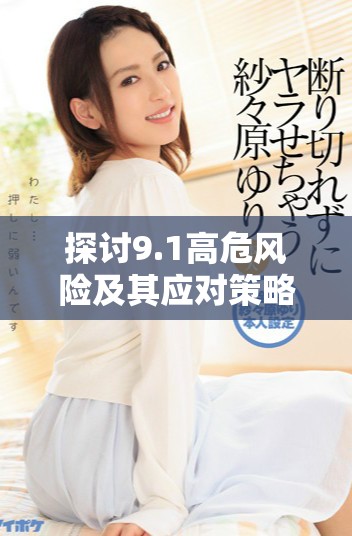 探讨9.1高危风险及其应对策略，保障企业安全稳定运行