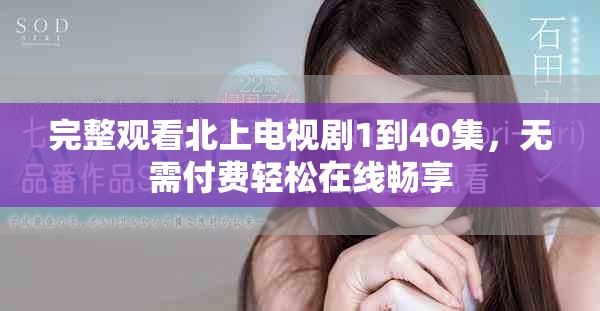 完整观看北上电视剧1到40集，无需付费轻松在线畅享