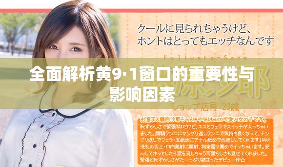 全面解析黄9·1窗口的重要性与影响因素