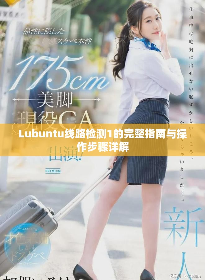 Lubuntu线路检测1的完整指南与操作步骤详解