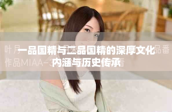 一品国精与二品国精的深厚文化内涵与历史传承
