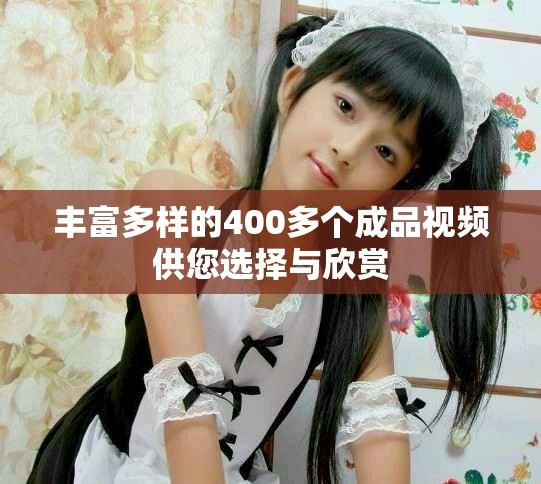 丰富多样的400多个成品视频供您选择与欣赏