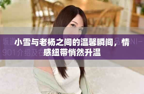 小雪与老杨之间的温馨瞬间，情感纽带悄然升温