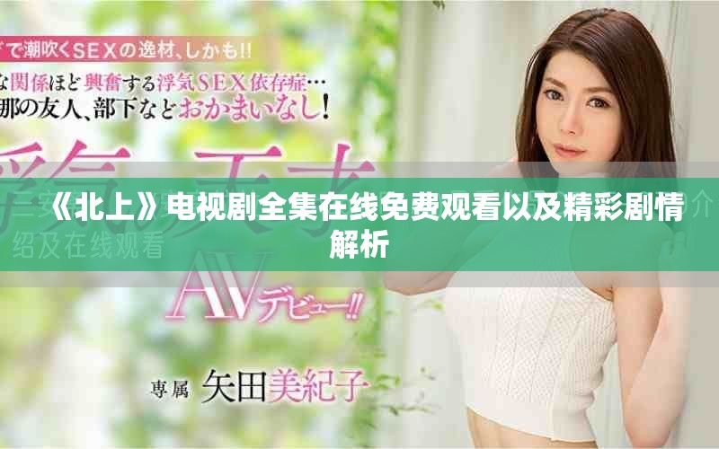 《北上》电视剧全集在线免费观看以及精彩剧情解析