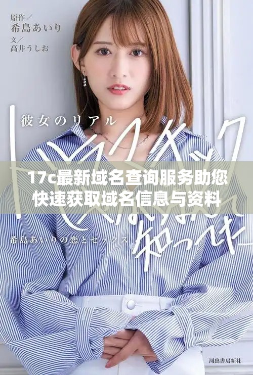 17c最新域名查询服务助您快速获取域名信息与资料