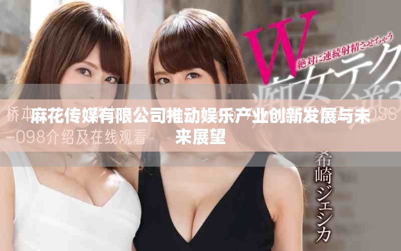 麻花传媒有限公司推动娱乐产业创新发展与未来展望