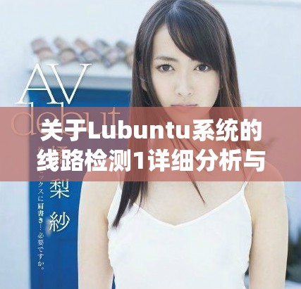 关于Lubuntu系统的线路检测1详细分析与探讨