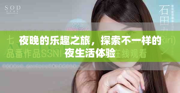 夜晚的乐趣之旅，探索不一样的夜生活体验
