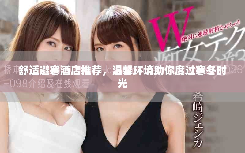 舒适避寒酒店推荐，温馨环境助你度过寒冬时光