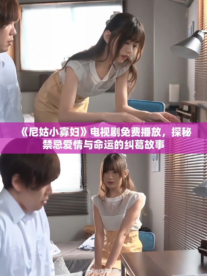 《尼姑小寡妇》电视剧免费播放，探秘禁忌爱情与命运的纠葛故事