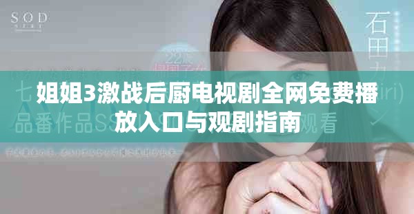 姐姐3激战后厨电视剧全网免费播放入口与观剧指南