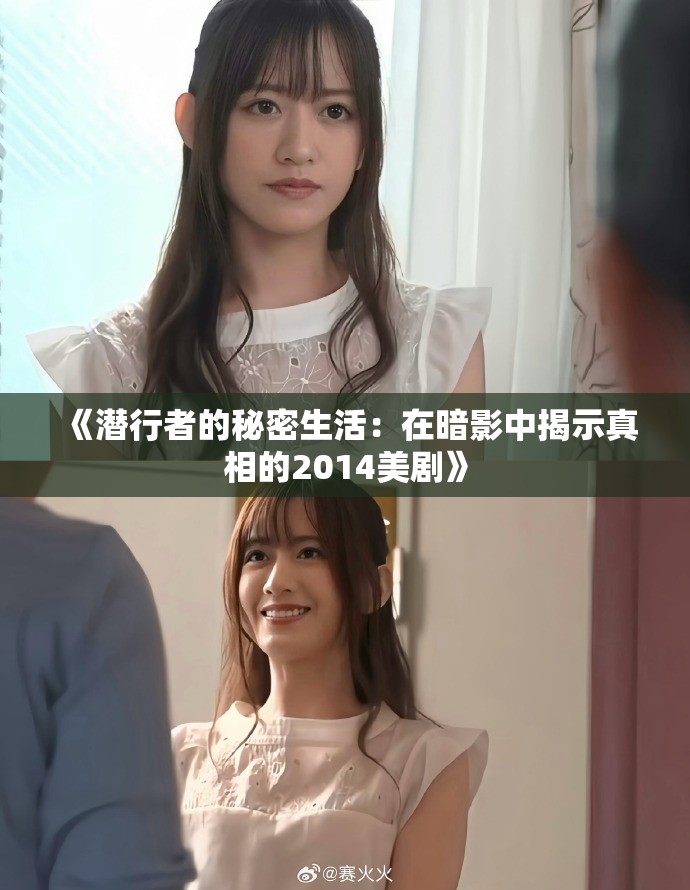 《潜行者的秘密生活：在暗影中揭示真相的2014美剧》