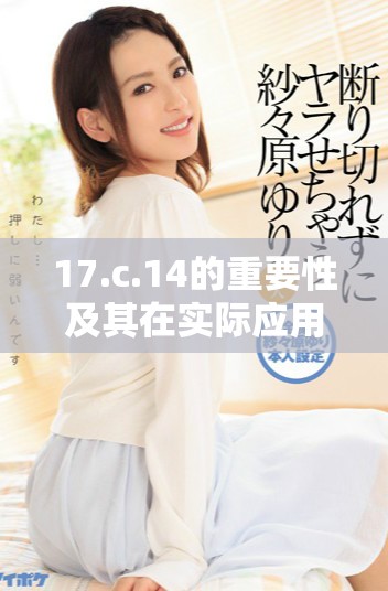 17.c.14的重要性及其在实际应用中的表现分析