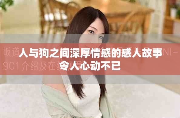 人与狗之间深厚情感的感人故事令人心动不已