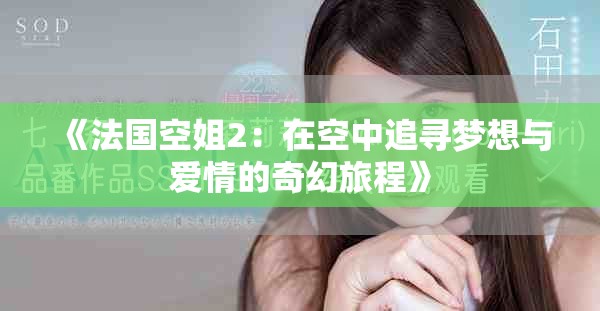 《法国空姐2：在空中追寻梦想与爱情的奇幻旅程》