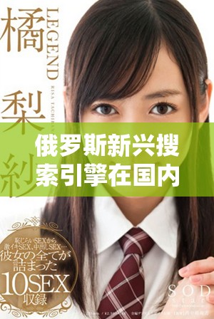 俄罗斯新兴搜索引擎在国内市场的崛起与挑战分析