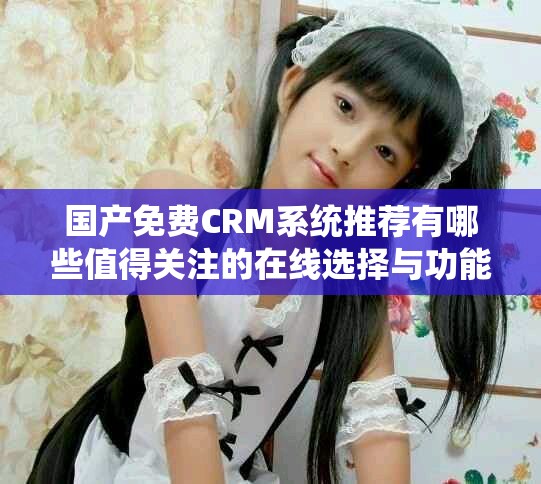 国产免费CRM系统推荐有哪些值得关注的在线选择与功能解析