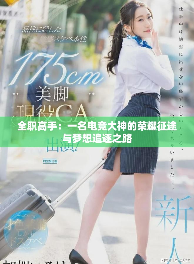 全职高手：一名电竞大神的荣耀征途与梦想追逐之路