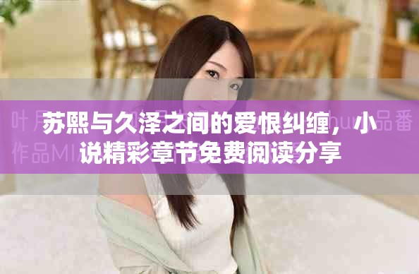 苏熙与久泽之间的爱恨纠缠，小说精彩章节免费阅读分享